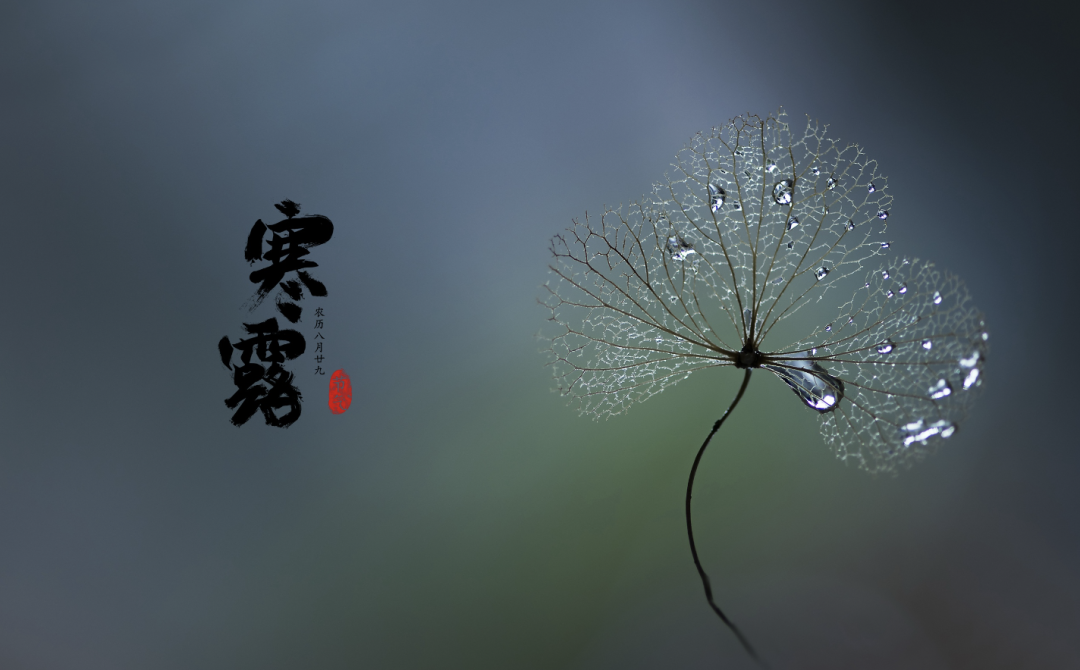 10月营销热点日历-传播蛙