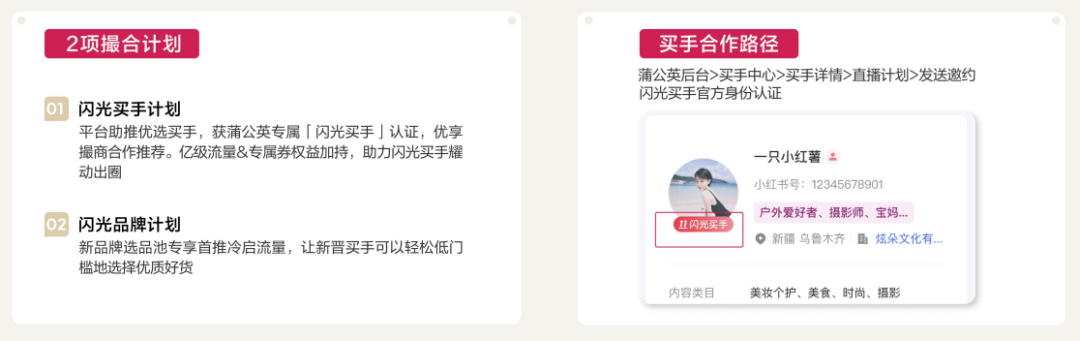 小红书双十一逐渐从精细化到多元化-传播蛙