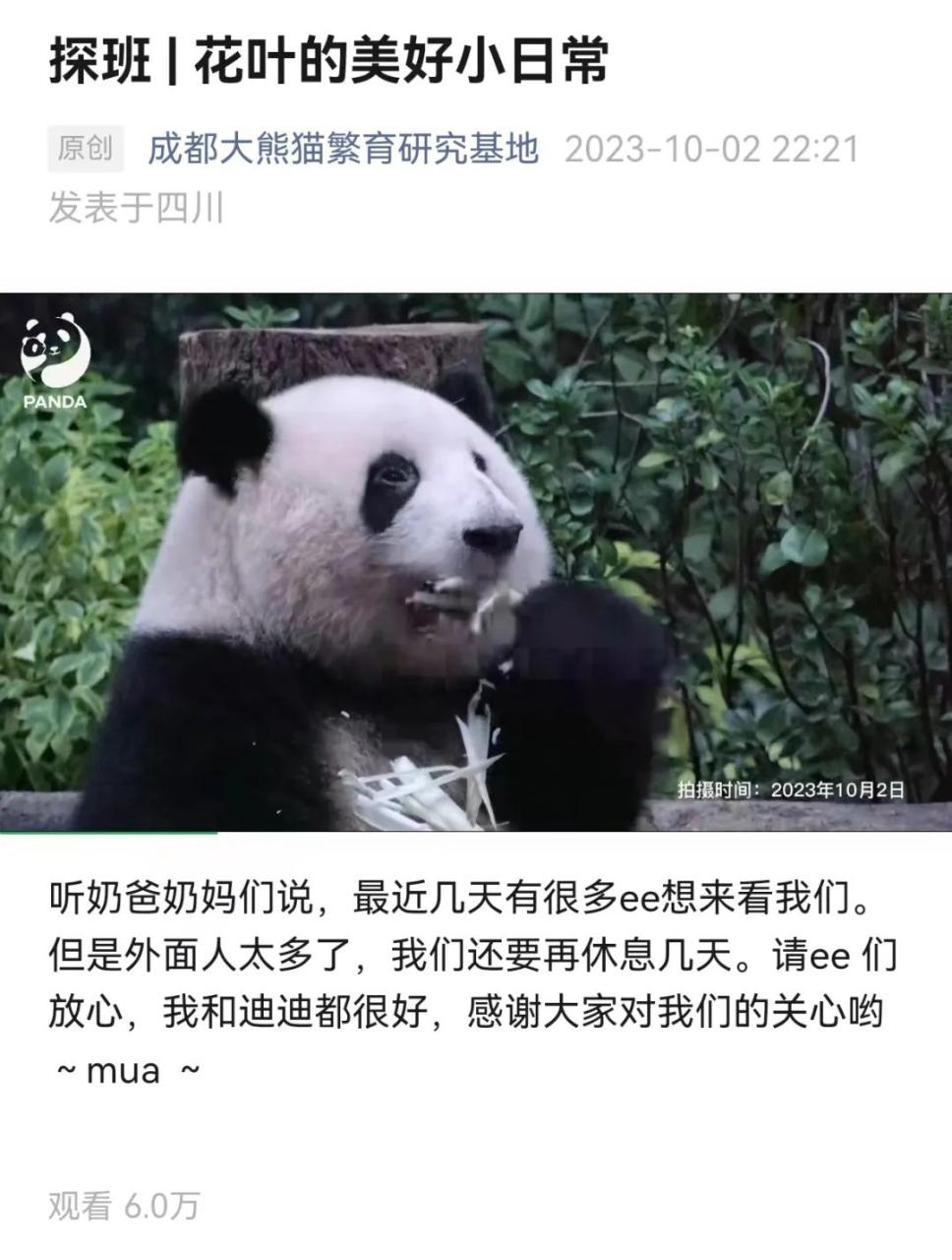 新老网红城市的“爆款方法论”-传播蛙