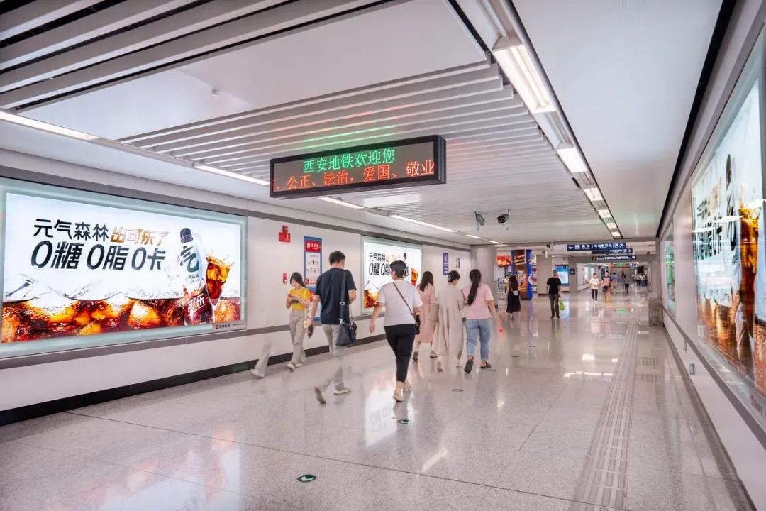 元气森林的经营与发展-传播蛙