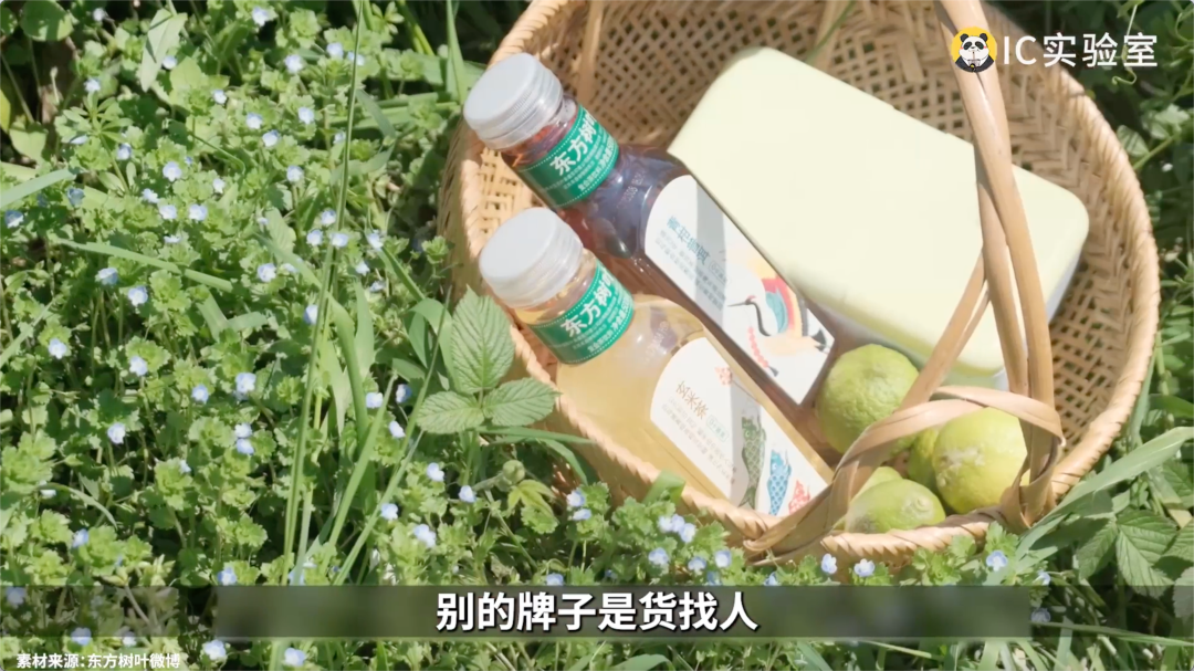 被嫌弃的东方树叶是如何成为市场宠儿的-传播蛙