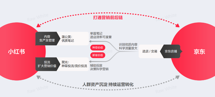 如何计算小红书投放带来的销售效果-传播蛙
