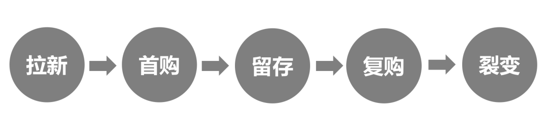 如何建立付费会员体系?-传播蛙