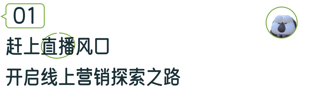 红山动物园是怎么火出圈的?-传播蛙