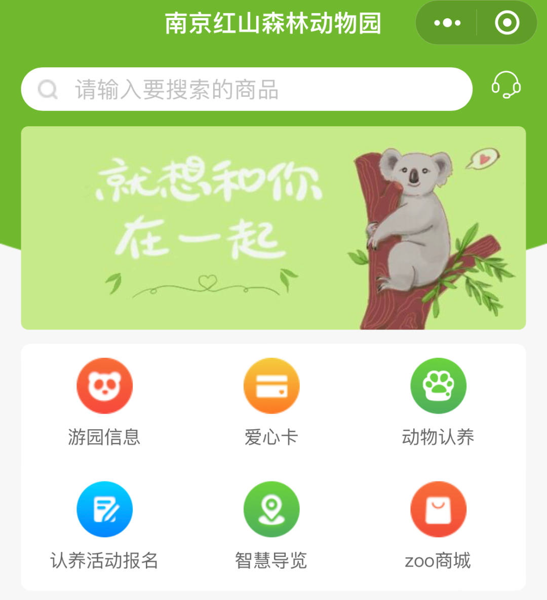 红山动物园是怎么火出圈的?-传播蛙