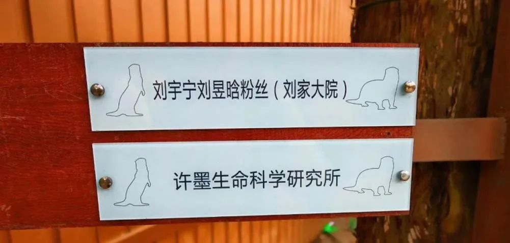 红山动物园是怎么火出圈的?-传播蛙