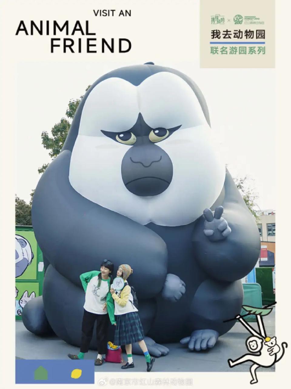 红山动物园是怎么火出圈的?-传播蛙