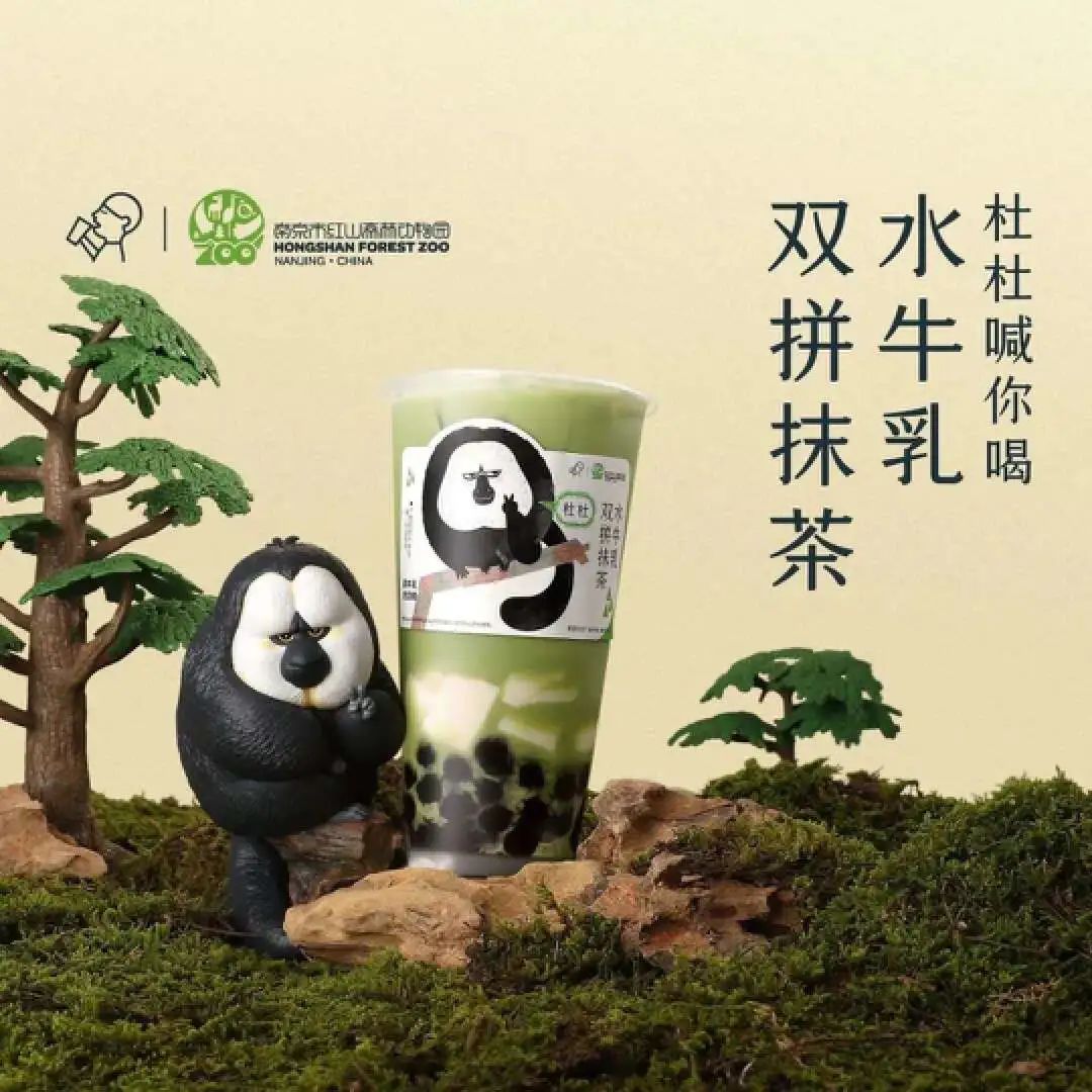 红山动物园是怎么火出圈的?-传播蛙