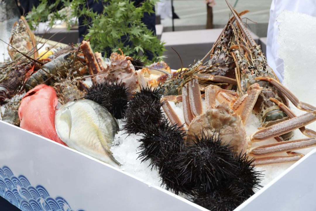 高客单日料店的全域新策略-传播蛙