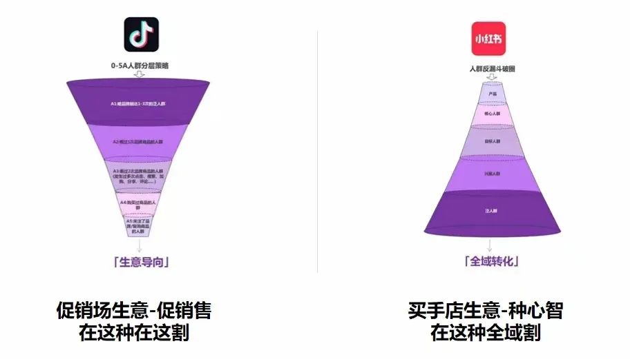 为啥抖音和红书的人群分层策略完全相反?-传播蛙