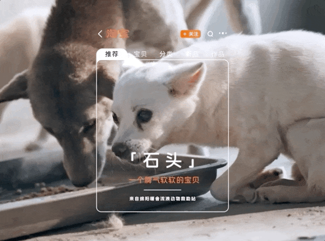 淘宝大雪创意广告短片《特殊的推荐宝贝》-传播蛙