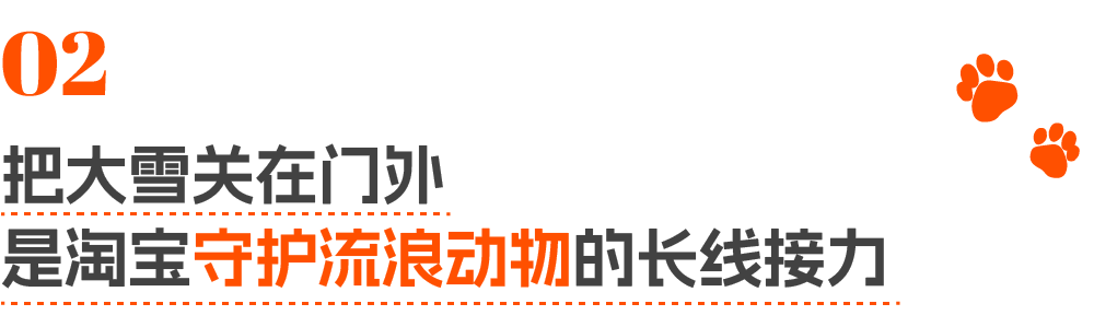 淘宝大雪创意广告短片《特殊的推荐宝贝》-传播蛙