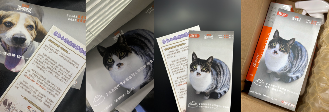 淘宝大雪创意广告短片《特殊的推荐宝贝》-传播蛙