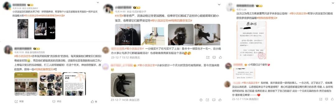 淘宝大雪创意广告短片《特殊的推荐宝贝》-传播蛙