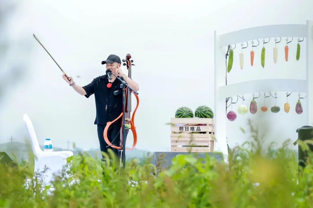 为什么说品牌一定要有差异化价值?-传播蛙