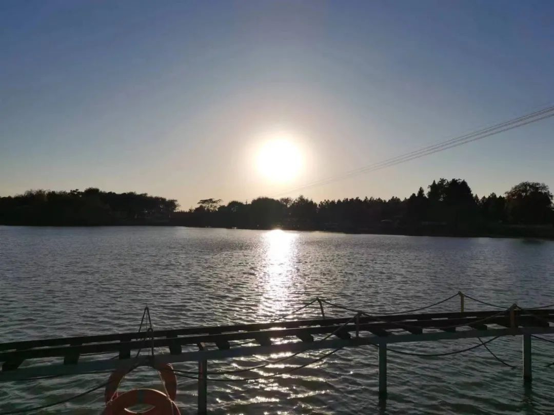 如何轻松搞定大数据算法-传播蛙