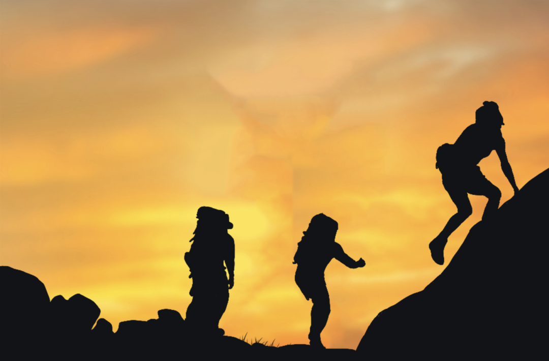 2024做小红书的新流量机会-传播蛙