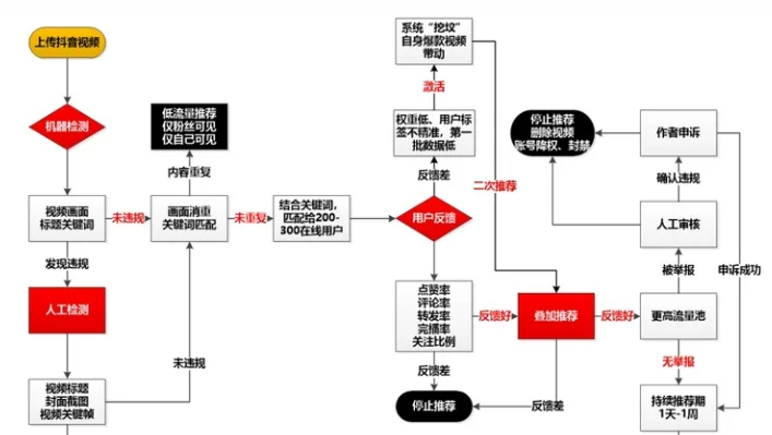 抖音,小红书,视频号算法流量推荐机制-传播蛙