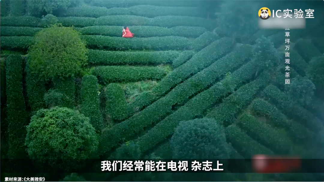 城市营销的方法论-传播蛙