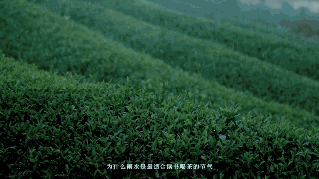 饿了么雨水节气品牌创意宣传短片《雨水饮茶文学》-传播蛙