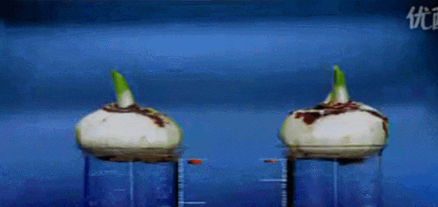 农夫山泉的进攻战思考-传播蛙