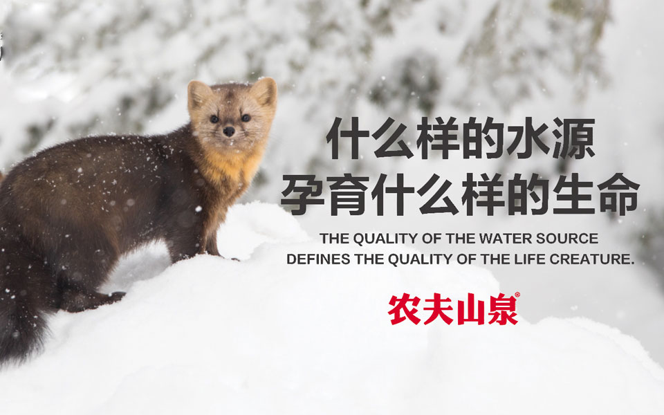 农夫山泉与娃哈哈的营销方案-传播蛙