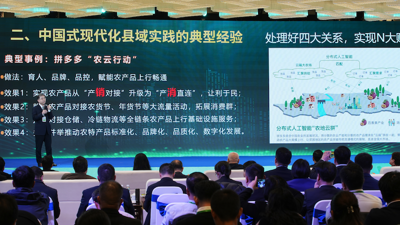 理解拼多多如何围绕“不变”持续做动作-传播蛙