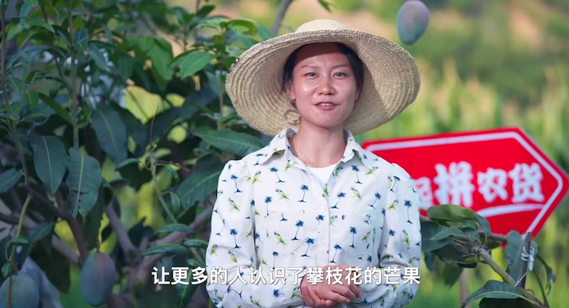 理解拼多多如何围绕“不变”持续做动作-传播蛙