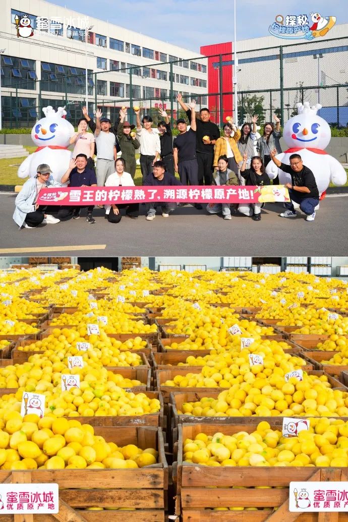 蜜雪冰城的品牌文化壁垒-传播蛙