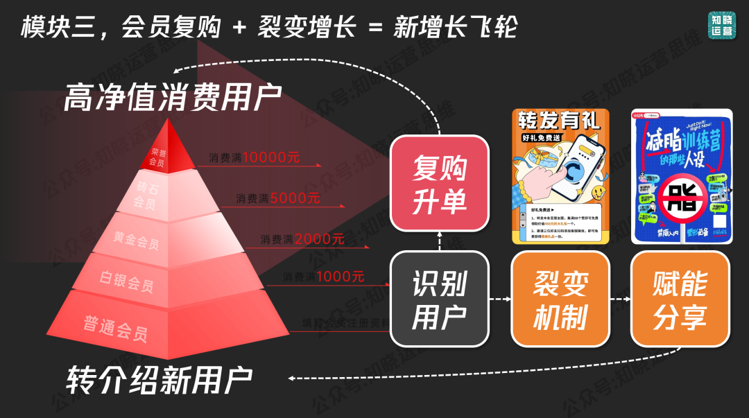 私域增长画布设计的方法-传播蛙