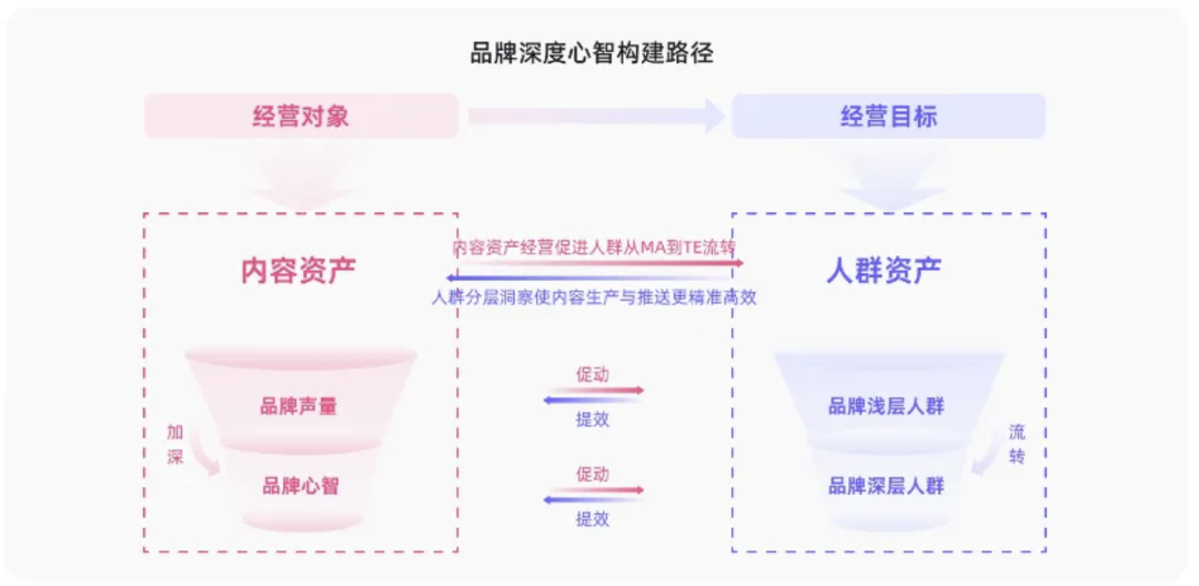 《许我耀眼》许妍带货看后双11时代的营销思路-传播蛙