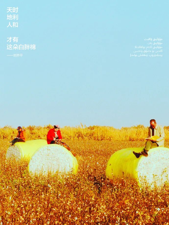 蕉内的品牌广告创意《棉花工人写文案》-传播蛙