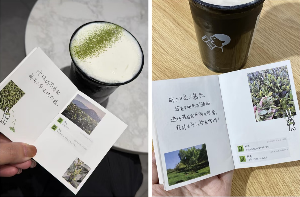 品牌原生化的朴素内容落地方法-传播蛙