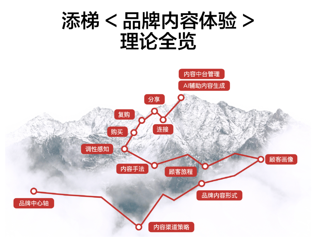 特渠经营的逻辑-传播蛙