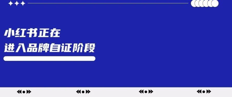 小红书进入品牌自证阶段-传播蛙