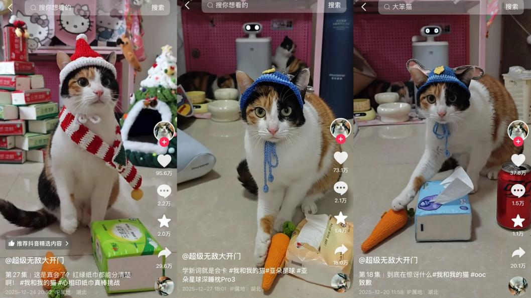 小猫成为品牌广告顶流的背后原因-传播蛙