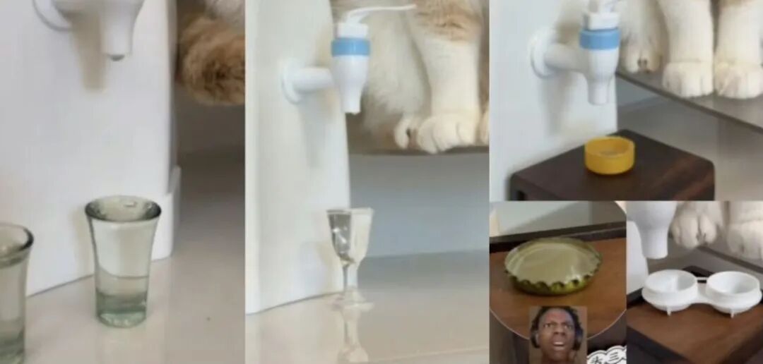 小猫成为品牌广告顶流的背后原因-传播蛙