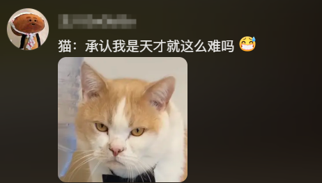 小猫成为品牌广告顶流的背后原因-传播蛙