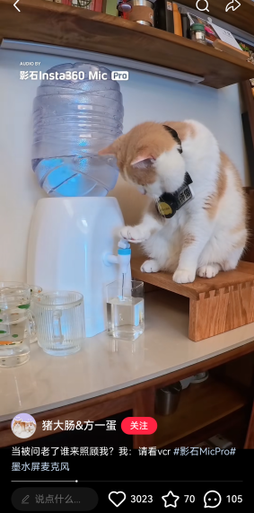 小猫成为品牌广告顶流的背后原因-传播蛙