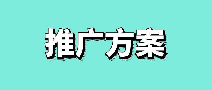 seo网站推广方案怎么做-传播蛙
