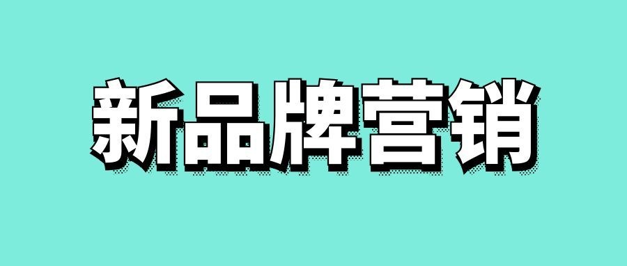 新品牌的营销方案策划-传播蛙