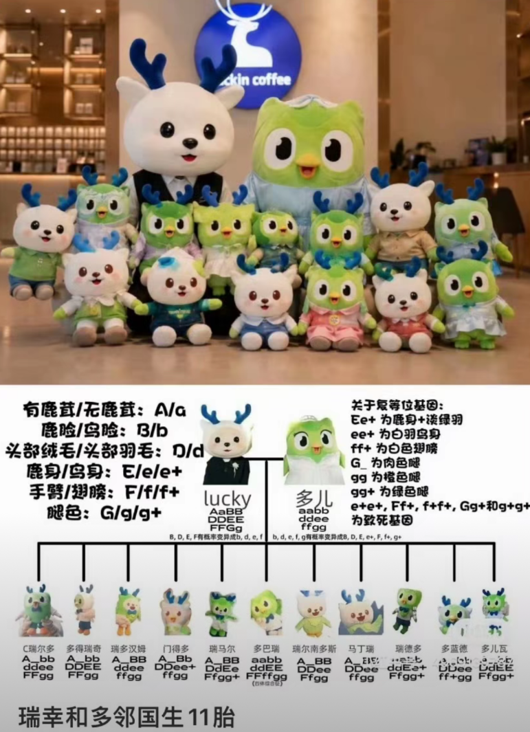 小象超市“活人感”创意文案赏析-传播蛙