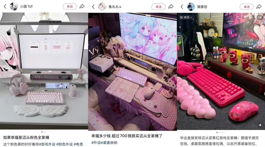 迈从品牌回头客带来的复购启示-传播蛙