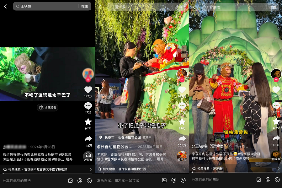 出圈文旅传播的4大核心公式-传播蛙