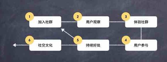 课程 5:用户使用社群的6个环节