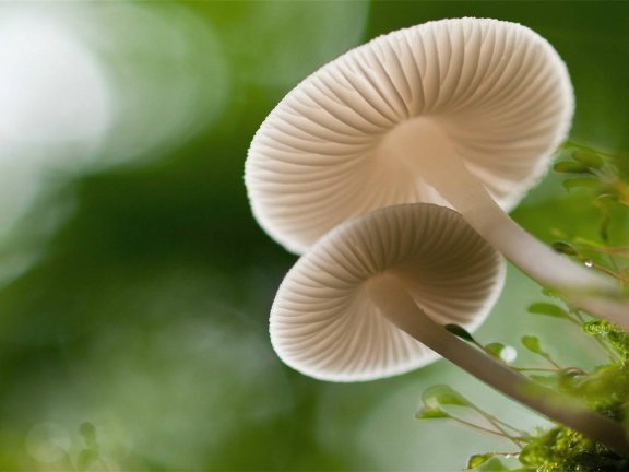 职场新人为什么不能拒绝“打杂”