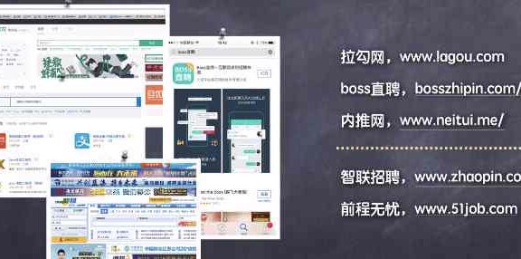 课程 03: 尽可能多的找到符合生计条件的公司