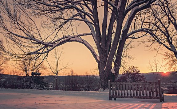 看起来“很小众”才是真正的成功