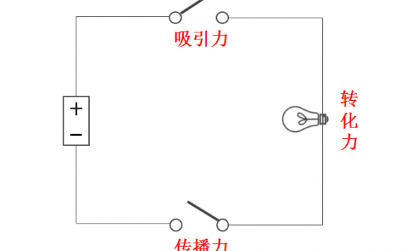 裂变流量的拼多多、连咖啡和新世相