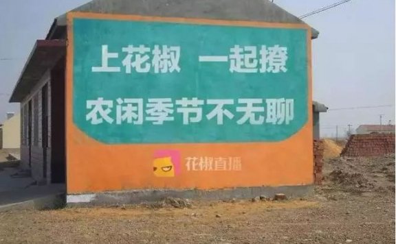 互联网公司为下乡真拼